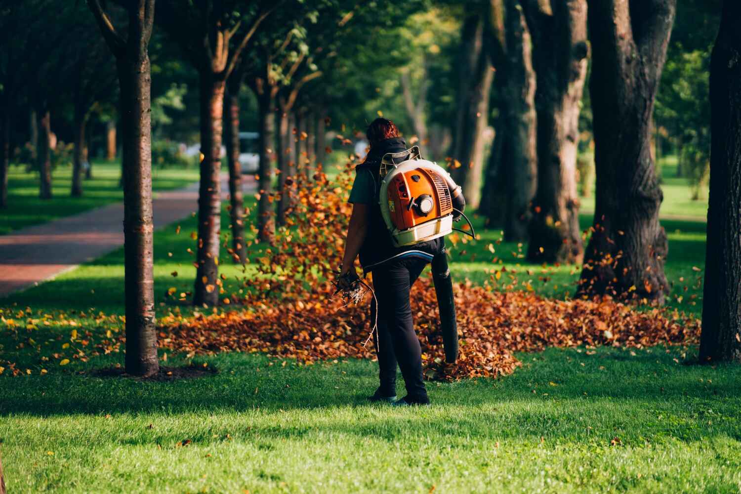 Best Commercial Tree Services  in USA